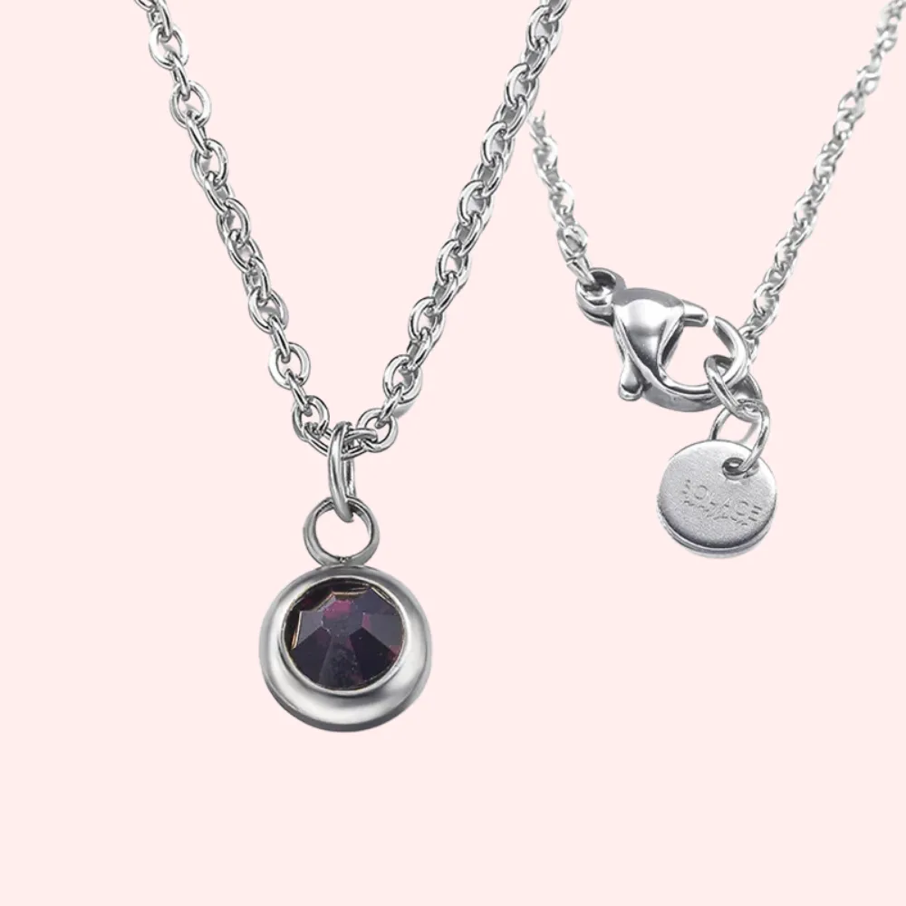 Amethyst Bezel Set Hypoallergenic Necklace - February