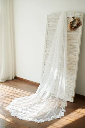 Cathedral Long Tulle Lace Appliques Wedding Veil Bridal Veil
