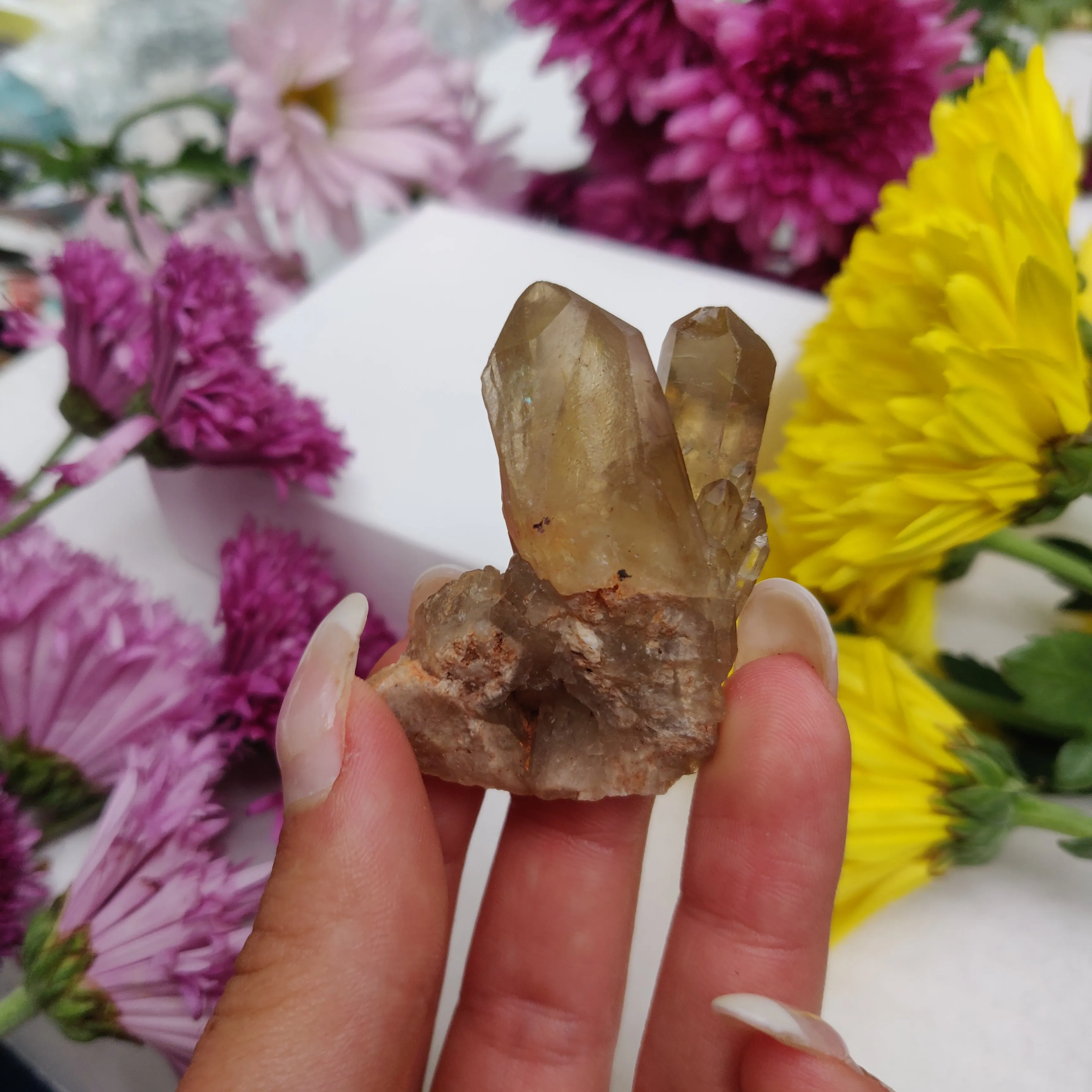 Congo Citrine Point (#6)