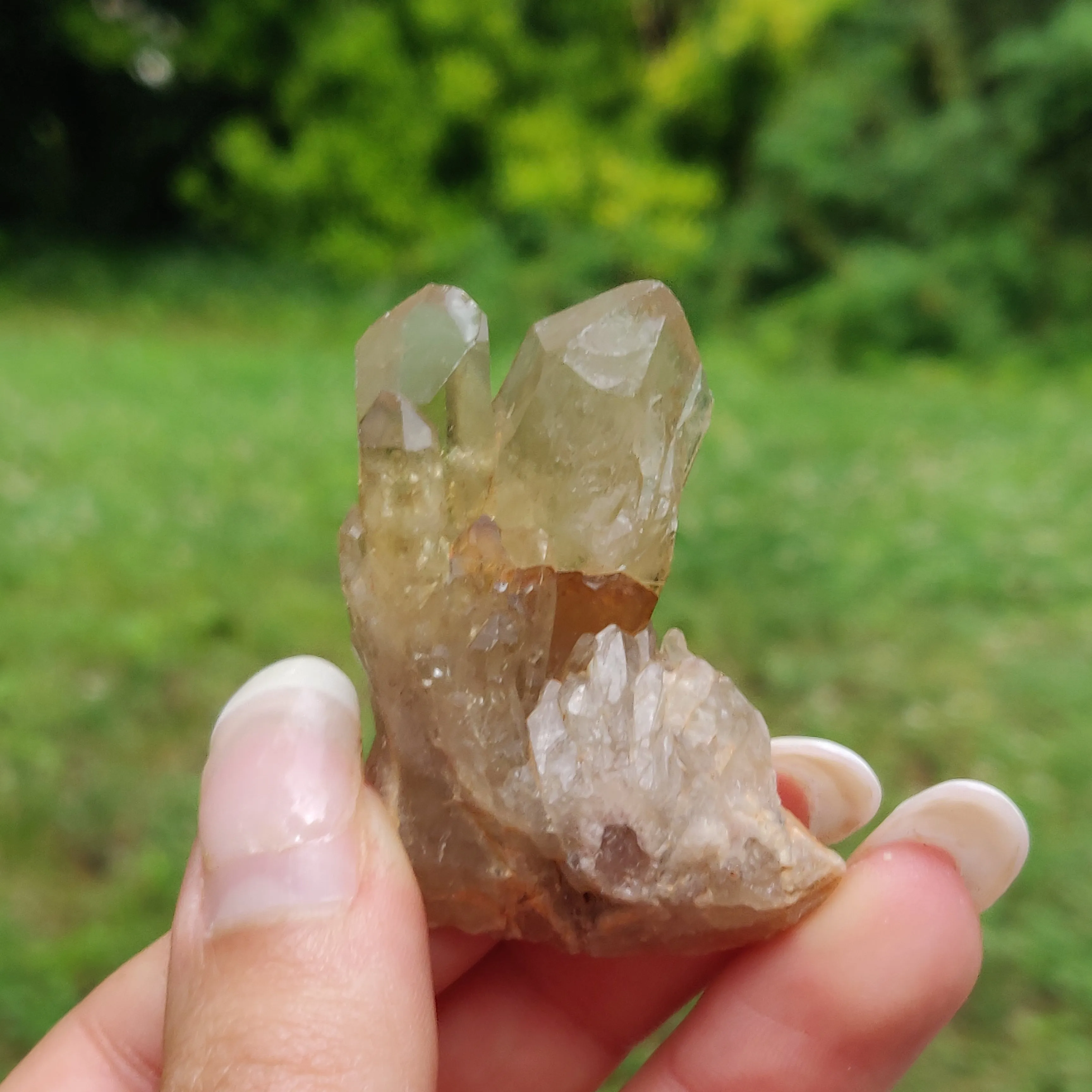 Congo Citrine Point (#6)