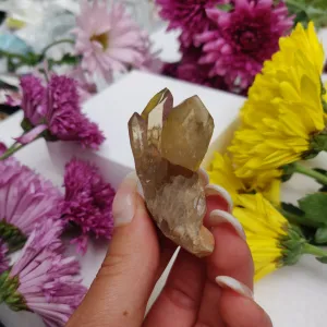 Congo Citrine Point (#6)