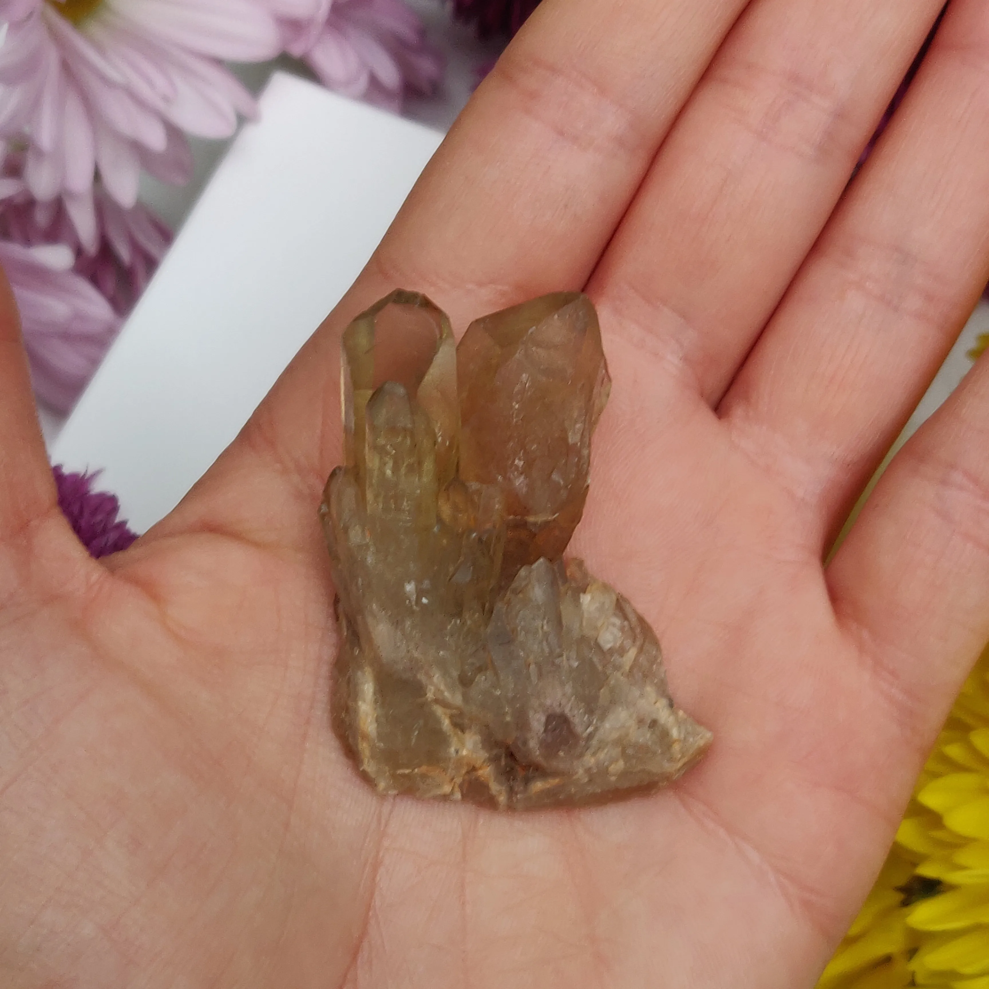 Congo Citrine Point (#6)
