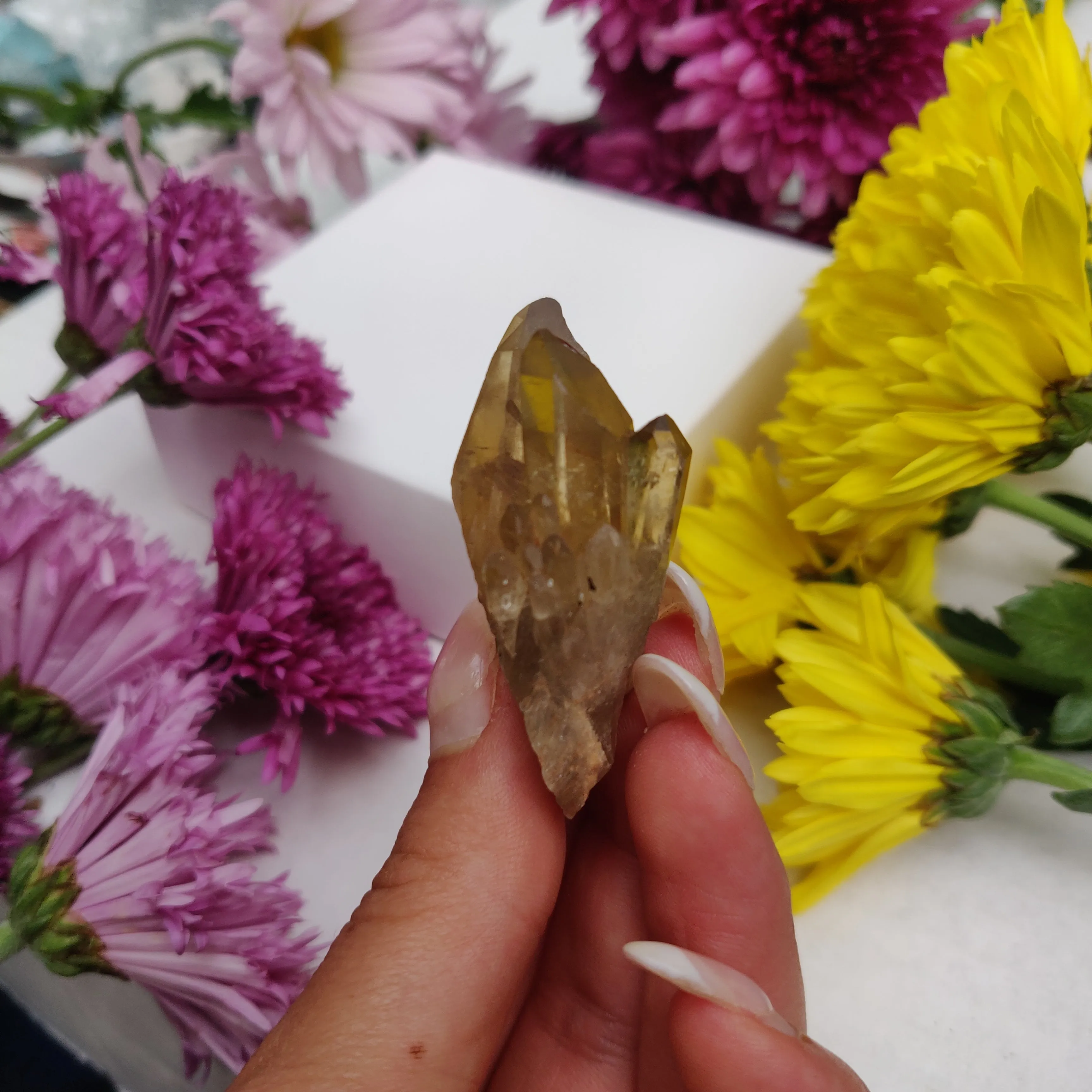 Congo Citrine Point (#6)