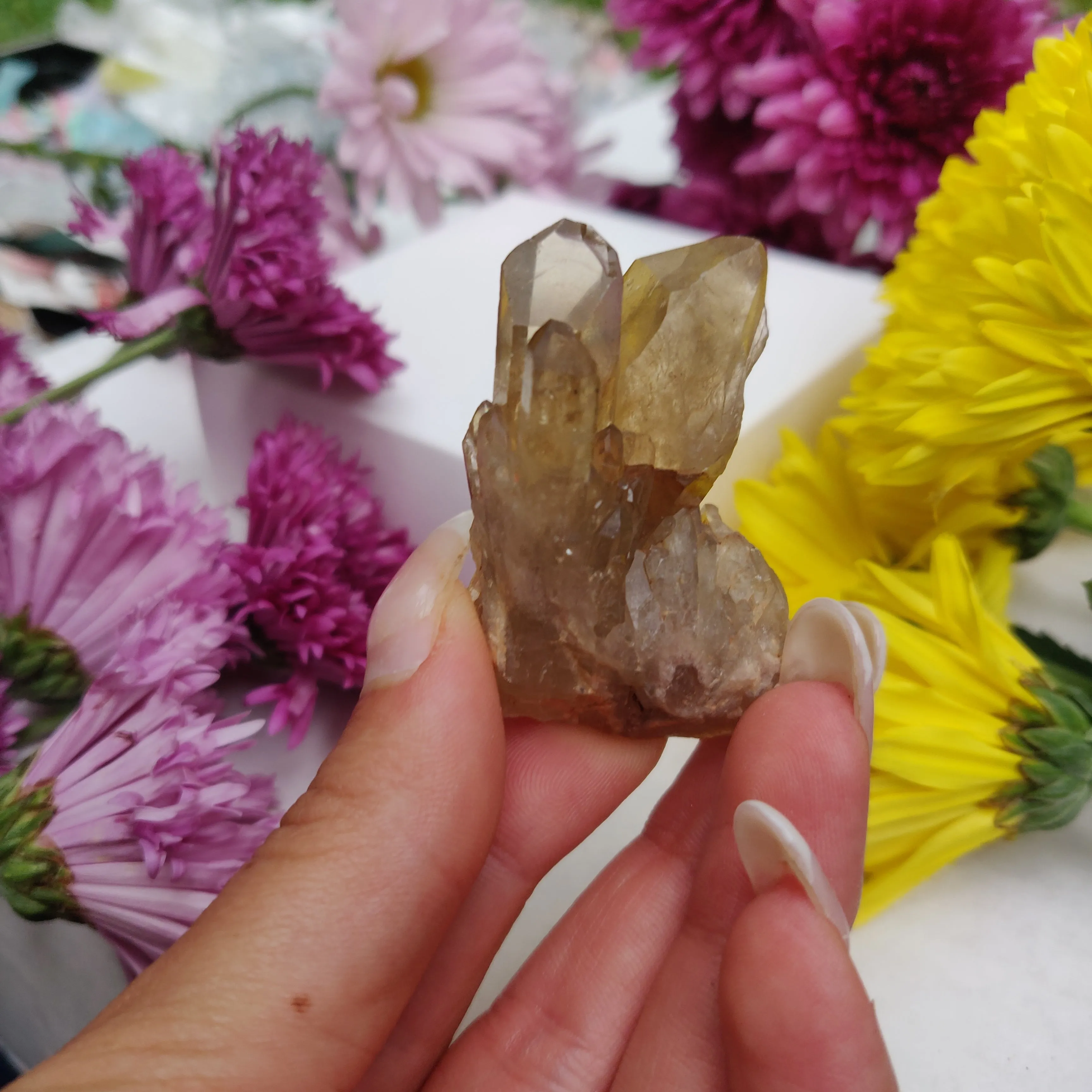 Congo Citrine Point (#6)