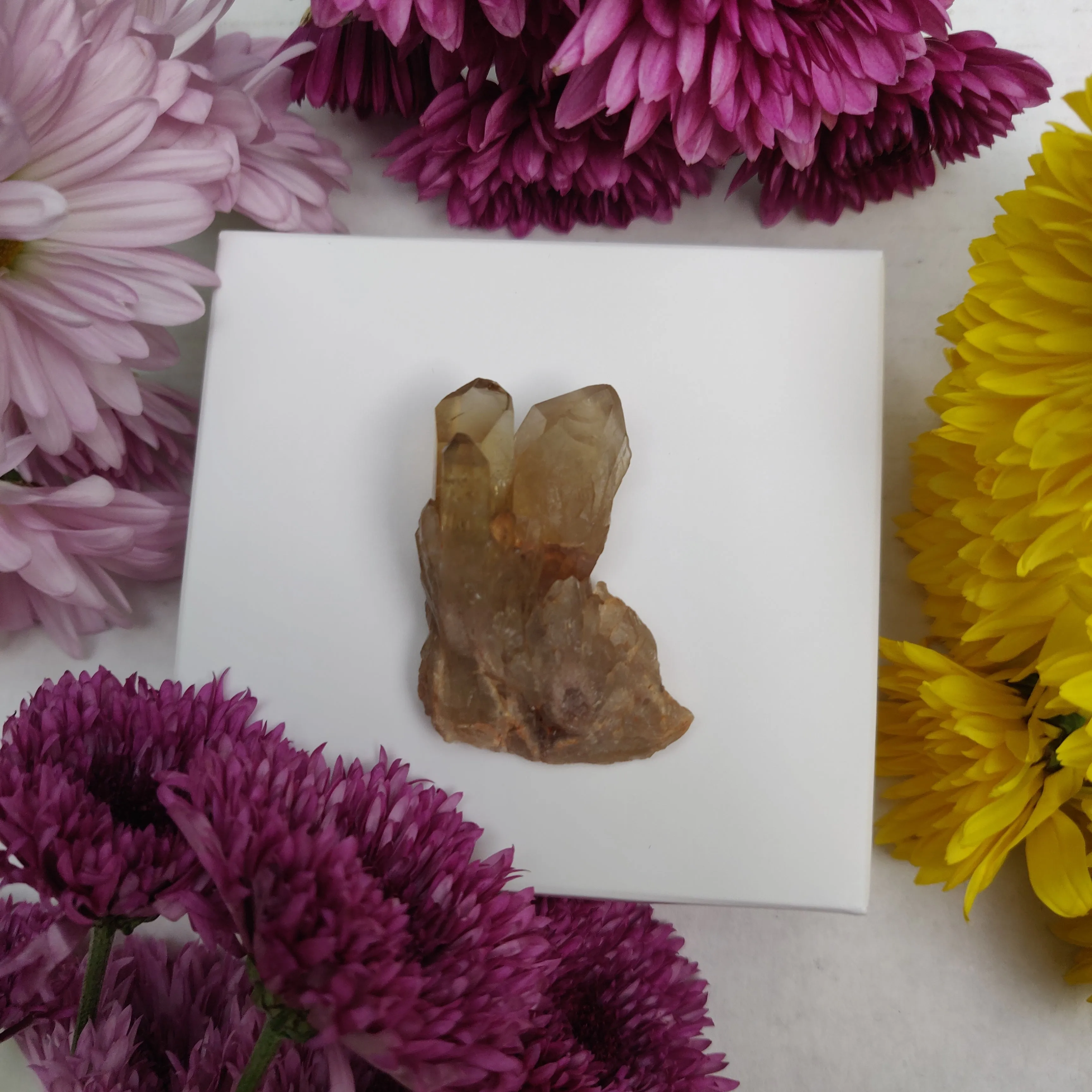 Congo Citrine Point (#6)