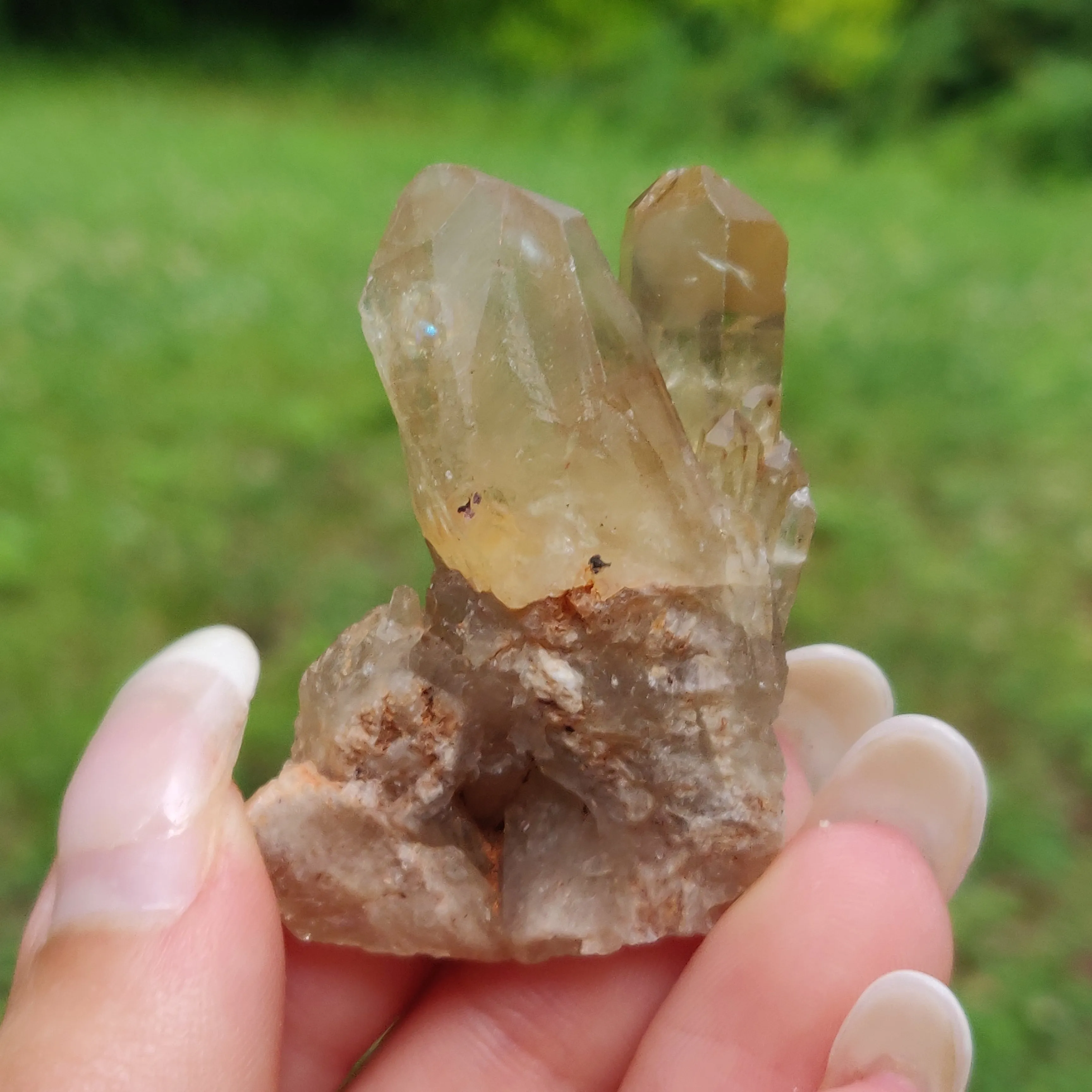 Congo Citrine Point (#6)