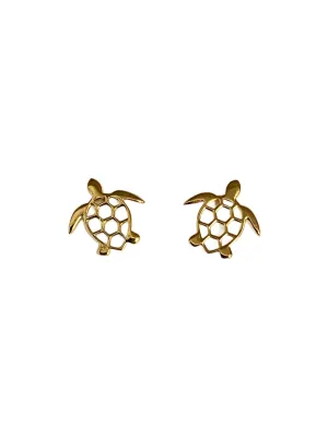 Golden Turtle Posts by Tomas