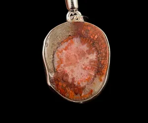 HORN CORAL Pendant - Real Fossil, Sterling Silver - Fine Jewelry, Healing Crystals and Stones,  52779